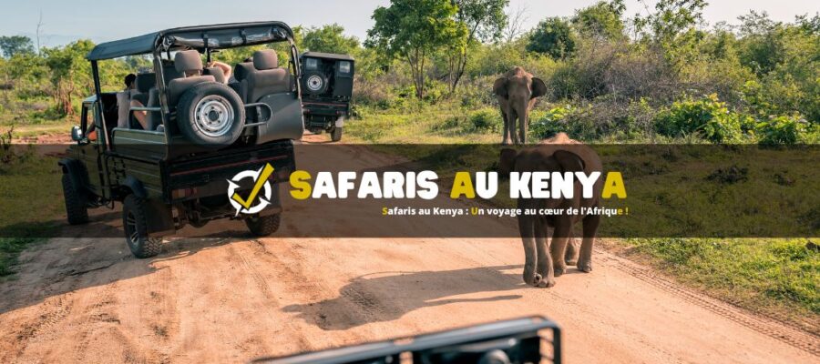 Safaris au Kenya : Un voyage au cœur de l'Afrique !
