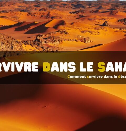 Comment survivre dans le désert du Sahara
