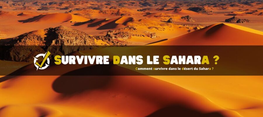 Comment survivre dans le désert du Sahara ?