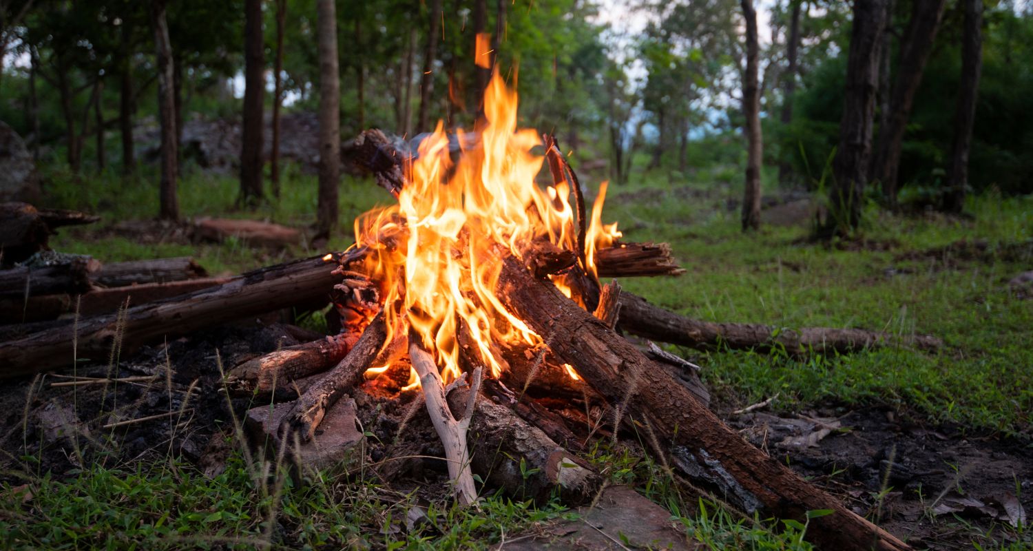 Faire du feu survie