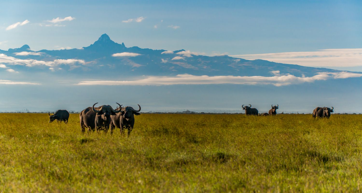 Grimper le Mont Kenya : Conseils & guide ultime pour l'ascension