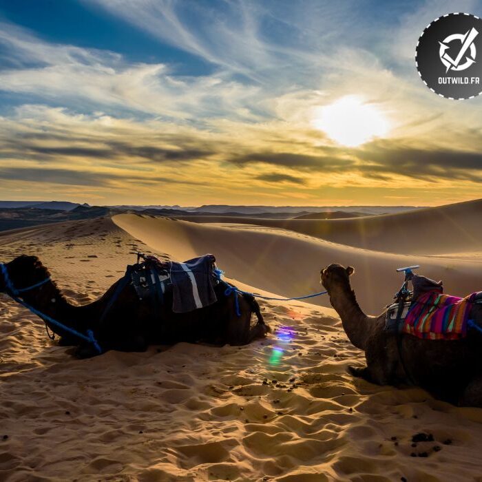 Voyage en famille dans le désert du Sahara - Maroc