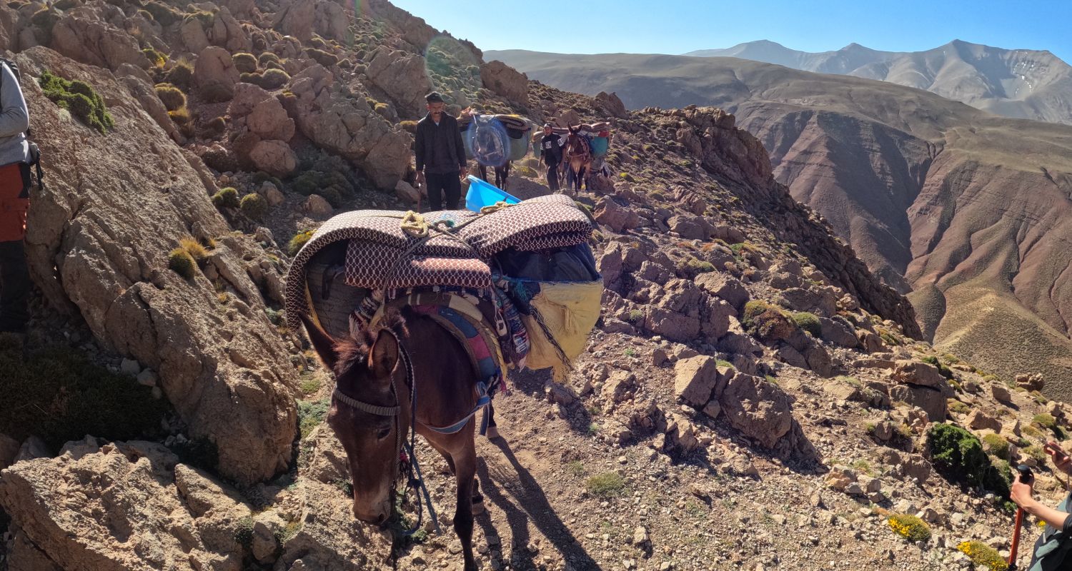 Ascension du Sommet M'goun au Maroc