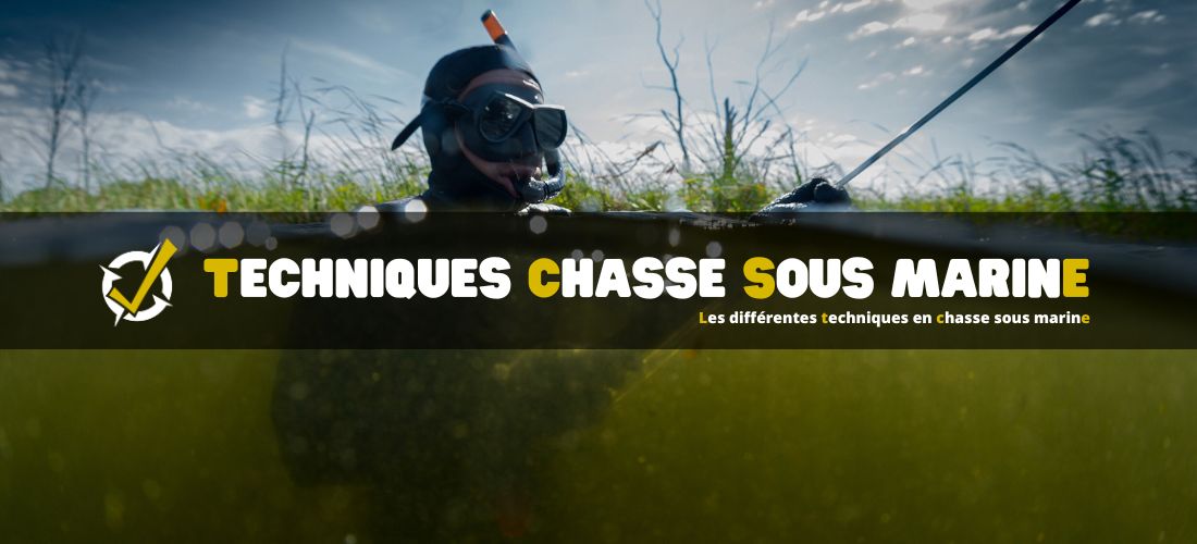 Les différentes techniques en chasse sous marine