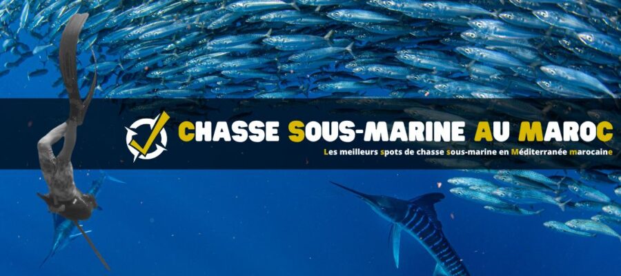 Les meilleurs spots de chasse sous-marine en Méditerranée marocaine