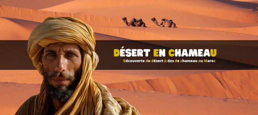 Découverte du désert à dos de chameau au Maroc