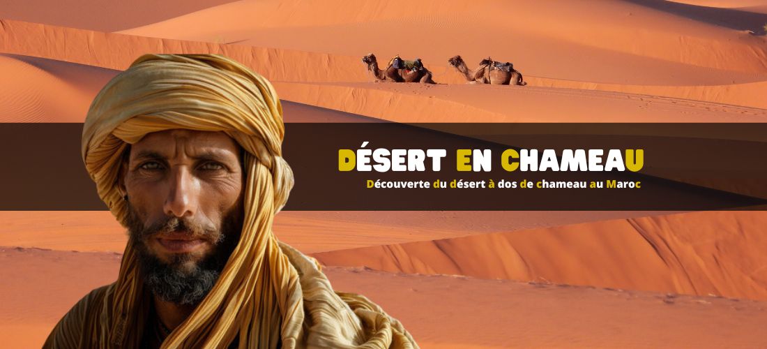 Découverte du désert à dos de chameau au Maroc