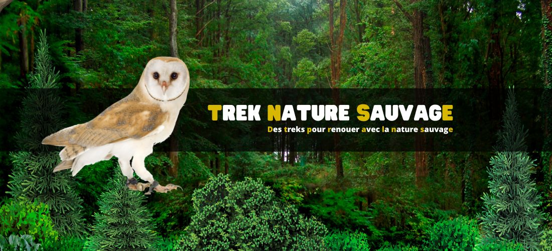 Des treks pour renouer avec la nature sauvage