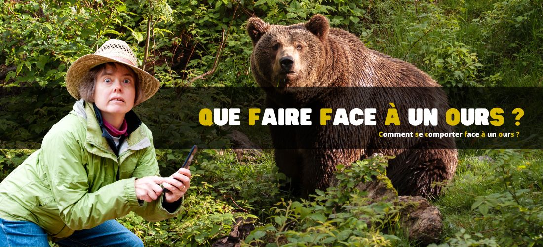 Que faire face à un ours ? Nos conseils