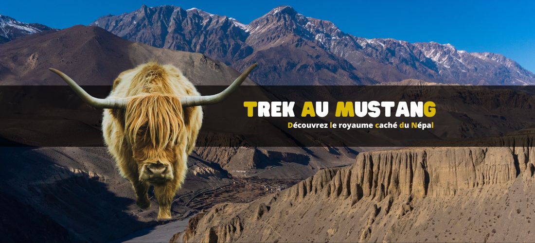 Trek au Mustang : découvrez le royaume caché du Népal