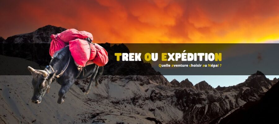 Trek ou expédition : quelle aventure choisir au Népal ?