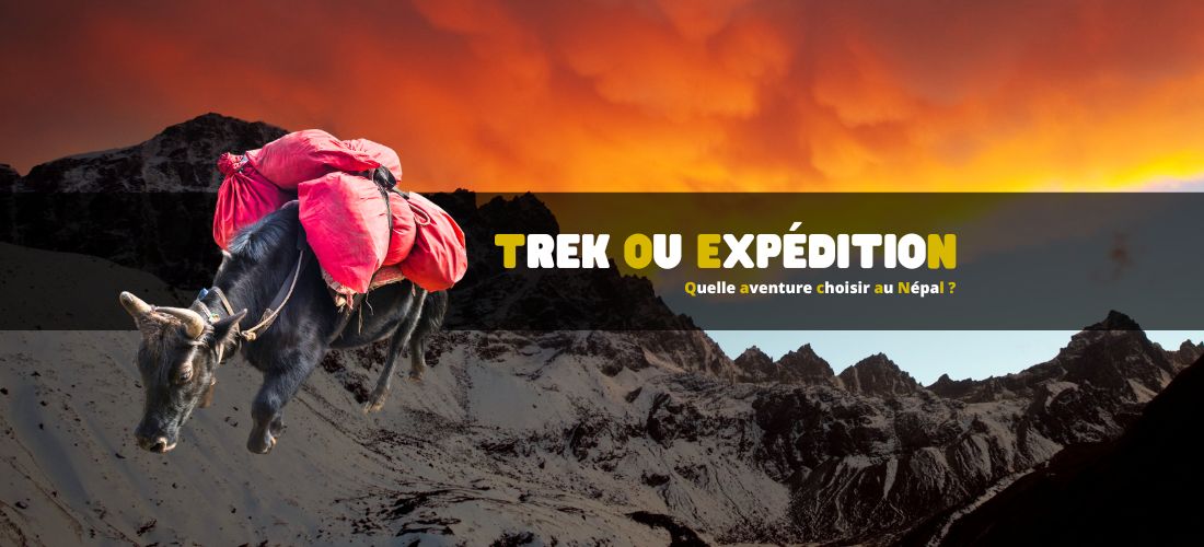 Trek ou expédition : quelle aventure choisir au Népal ?