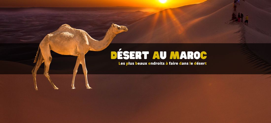 Les plus beaux endroits à faire dans le désert au Maroc