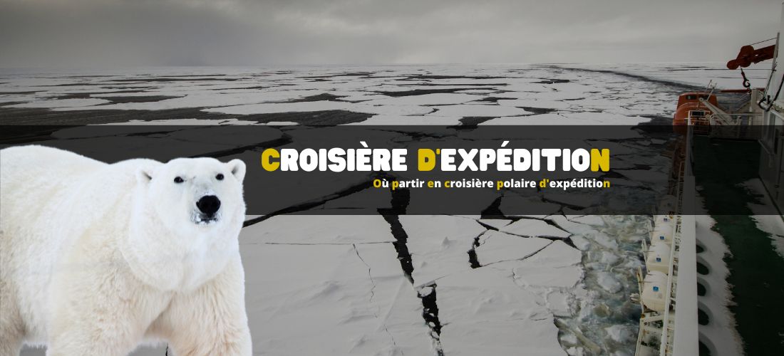 Où partir en croisière polaire d'expédition